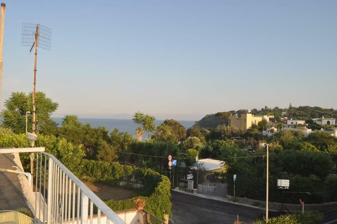 Dalla Maestra Lucia Procida Bagian luar foto